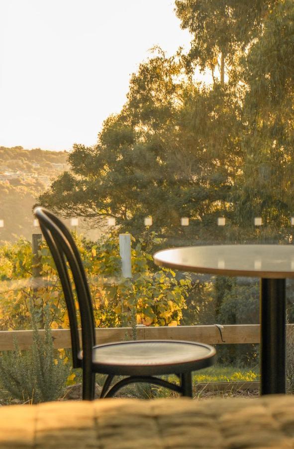 Hotel Tussock Hill Vineyard Retreats Christchurch Zewnętrze zdjęcie
